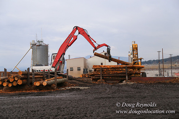 SDS Lumber-1307