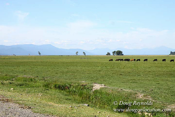 Ranch 18 South side of Hwy  has 2500 Acres of green fields Creeks water crossing Bridges on a Large Lake and miles of Dirt roads Oak trees  Forest land ATV Trails cows