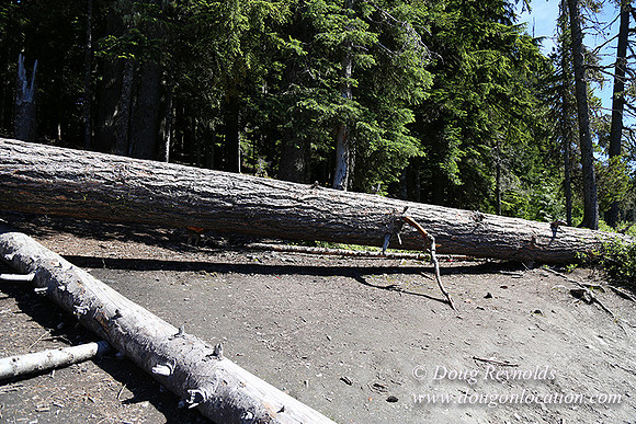 Frog Lake-3534