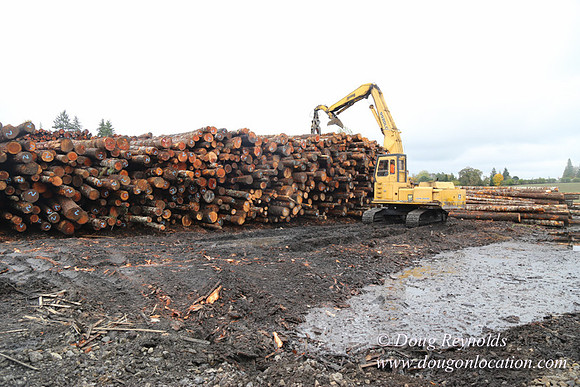 Saw Mill and Lumber Yard