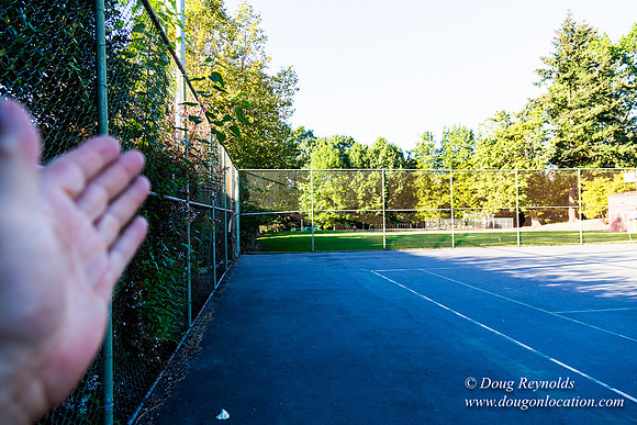 Kenilworth Courts