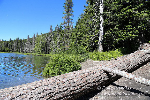 Frog Lake-3530