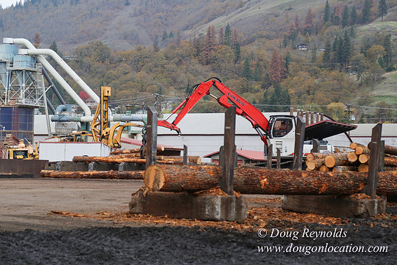 SDS Lumber-1312