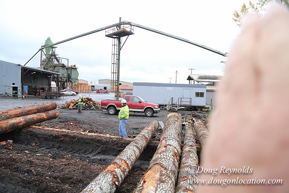 Saw Mill and Lumber Yard