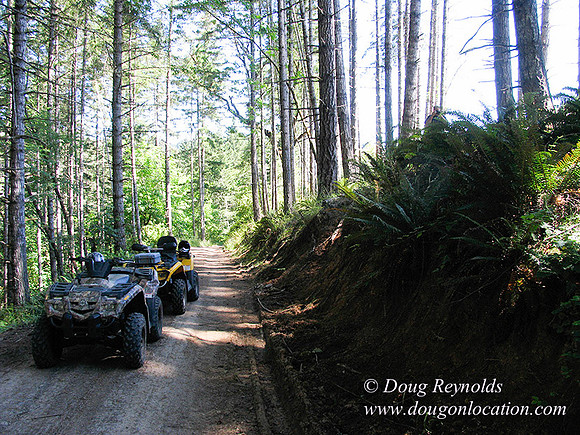 Ranch 6 has 2500 Acres of rolling green hills barns Creeks water crossing Bridges River and miles of Dirt roads Oak trees Cabins Forest land ATV Trails Camping