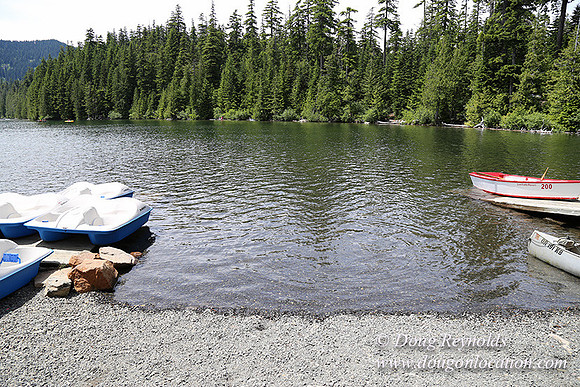 Lost Lake East Side-4073