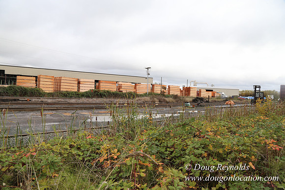 Saw Mill and Lumber Yard