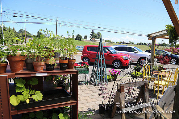 Little Door Farm Market-5415