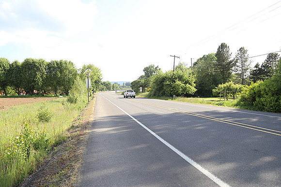 Dale's Penny Ln-5013