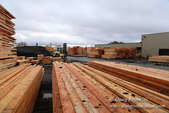 Saw Mill and Lumber Yard