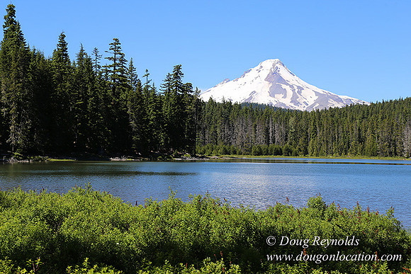 Frog Lake-3428
