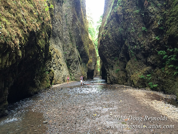 Oneonta Falls