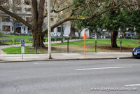 Chapman Square-0438