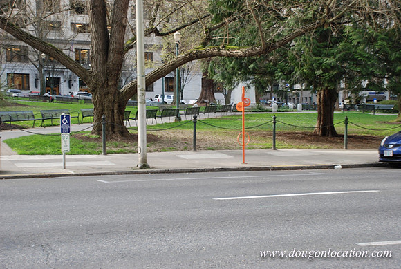 Chapman Square-0438