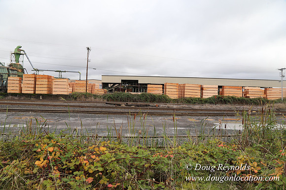 Saw Mill and Lumber Yard