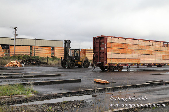 Saw Mill and Lumber Yard