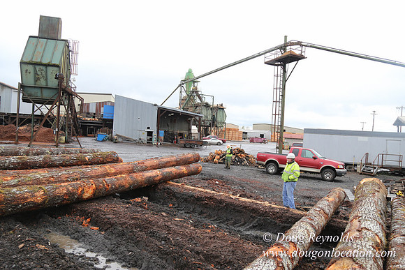 Saw Mill and Lumber Yard