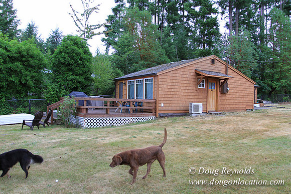 Cabin, Curtis, Dock, Green, Home, Lake, Small, WA, Washington, Yard, Yard, deck