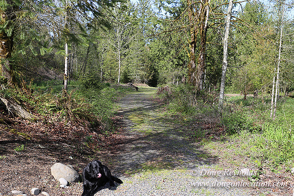 Brians River Side-9883