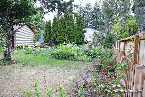 Jeramiah's Backyard-1670