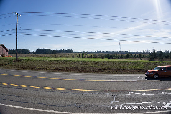 Hwy 211 Sandy-3557