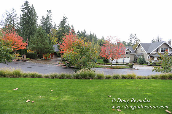 Kathy's House-0391