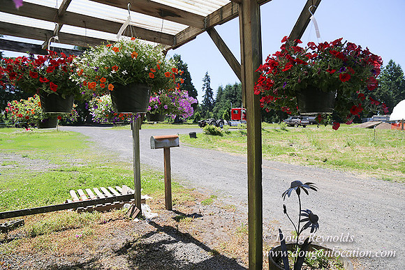 lee Farms-5285