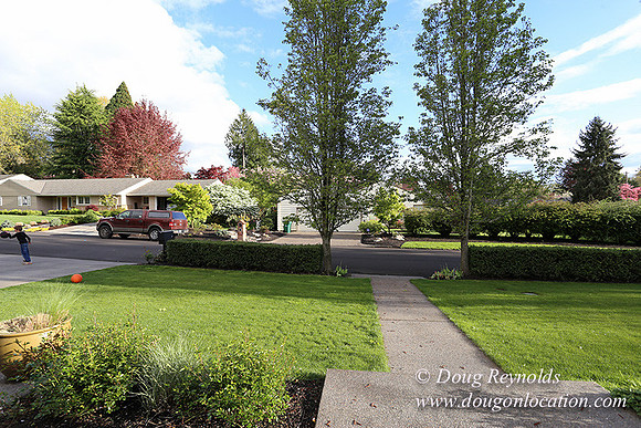Mid Century Traditional Style Home, With a Basement, 2 car garage average sized Back Yard with Patio and Fire Pit.