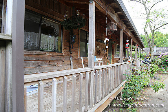 Shere's Garden Flowers & produce