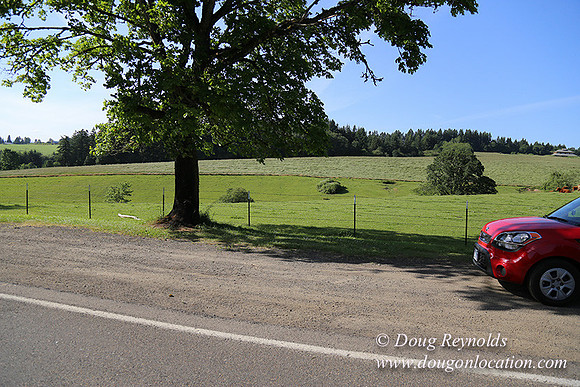 Helvetia rd Church-6036