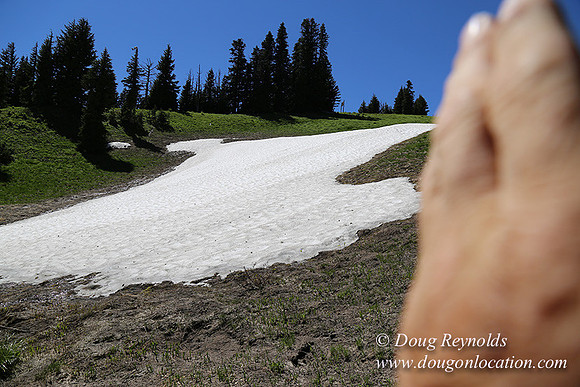 Medow's Snow-5801