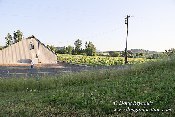 Shaw Tool & Grape-7201