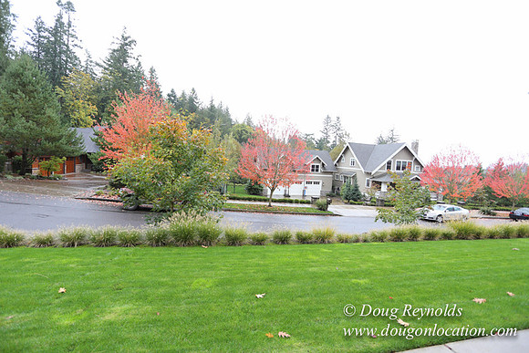 Kathy's House-0395
