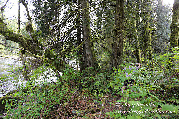 Brians River Side-0023