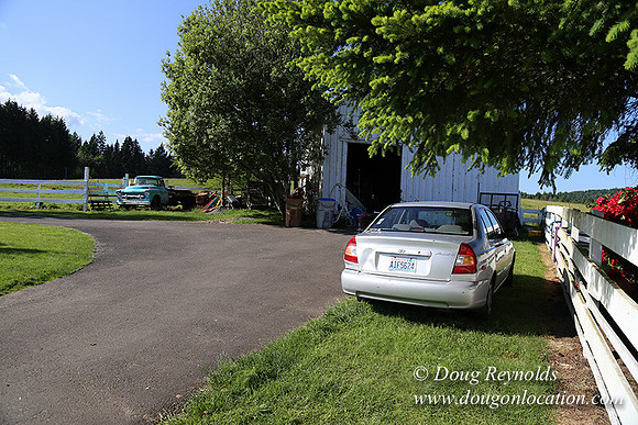 "2 Barns", "2 car garage", "40+ Acres", "PDX Zone", Pool, "White Fence", cows, "farm House", "rap around dive", "well maintained"
