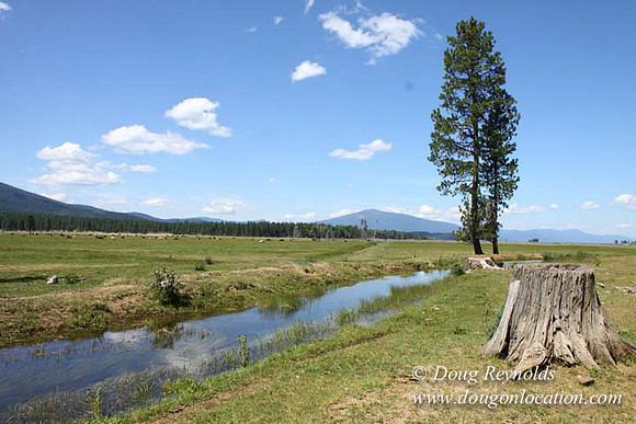 Ranch 18 South side of Hwy  has 2500 Acres of green fields Creeks water crossing Bridges on a Large Lake and miles of Dirt roads Oak trees  Forest land ATV Trails cows
