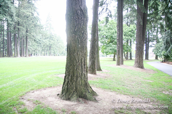 Sellwood Park 7th-1911