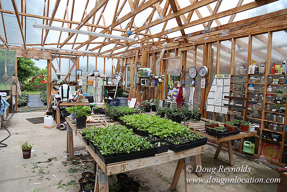 Shere's Garden Flowers & produce