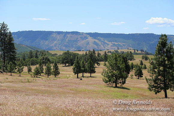 Brothers Ranch-8455