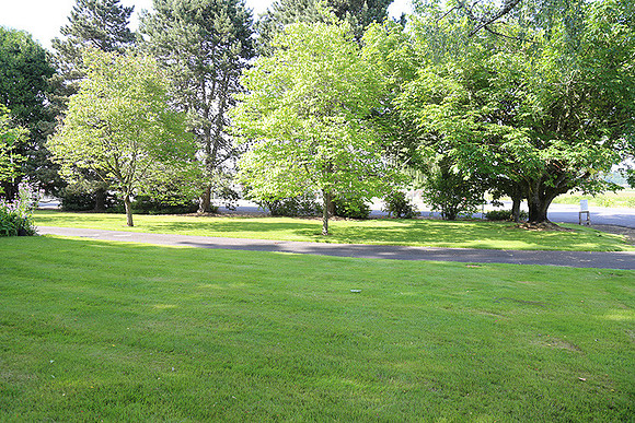Dale's Penny Ln-4916