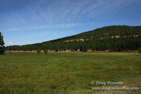 Ranch 18 South side of Hwy  has 2500 Acres of green fields Creeks water crossing Bridges on a Large Lake and miles of Dirt roads Oak trees  Forest land ATV Trails cows