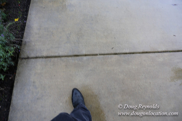 Kathy's House-0441
