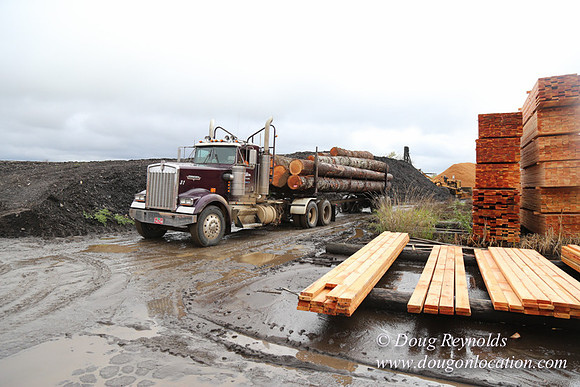 Saw Mill and Lumber Yard