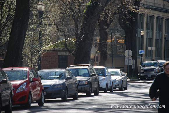 North Park Blocks-0029