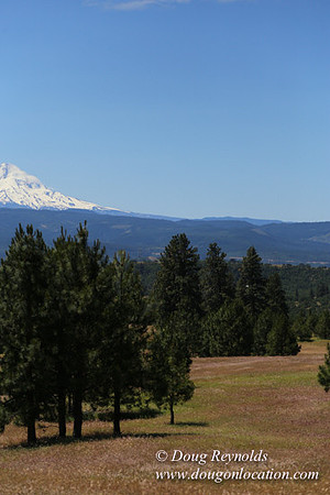 Brothers Ranch-8437