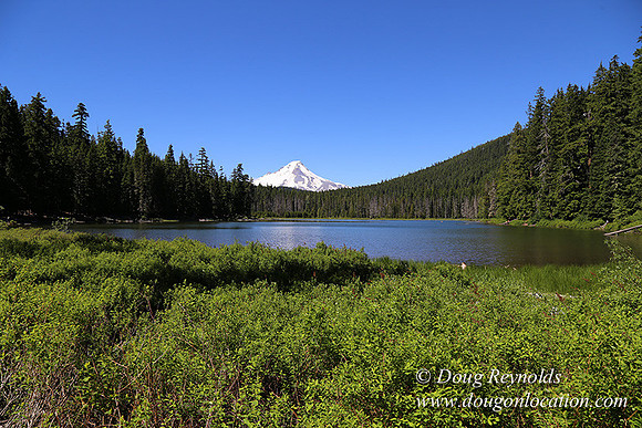 Frog Lake-3426