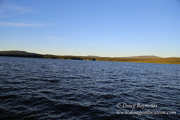 Timathy Lake-3899