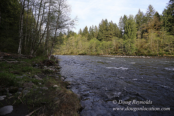 Brians River Side-0014
