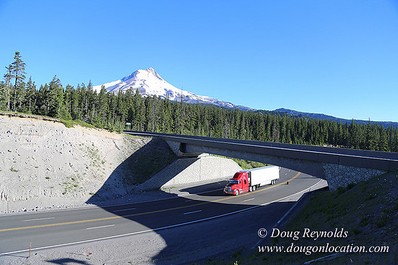 CMD Western Star Production Photo