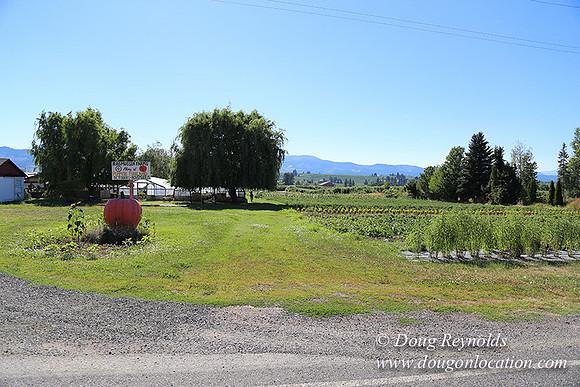 Thompson Rd Farm-8270